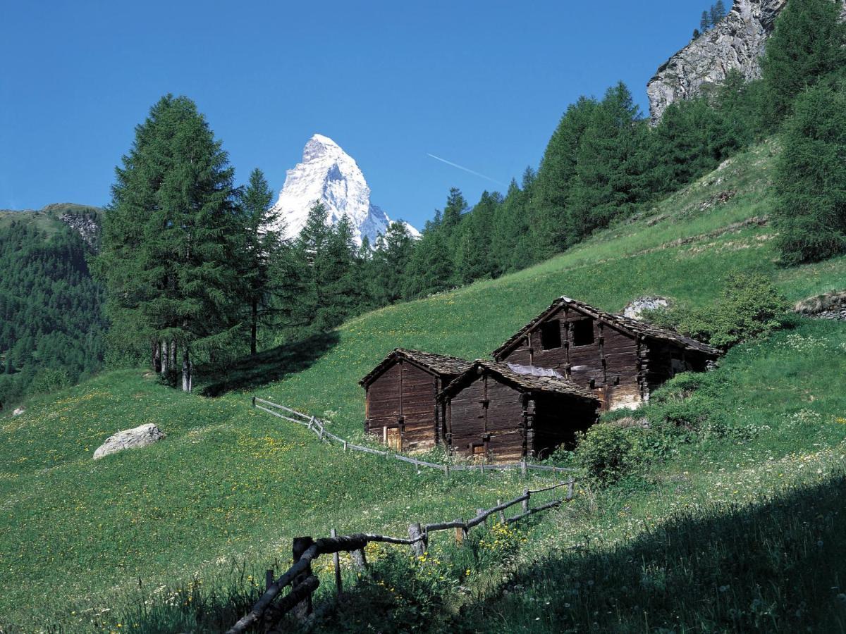 Apartment Breithorn Zermatt Exterior foto