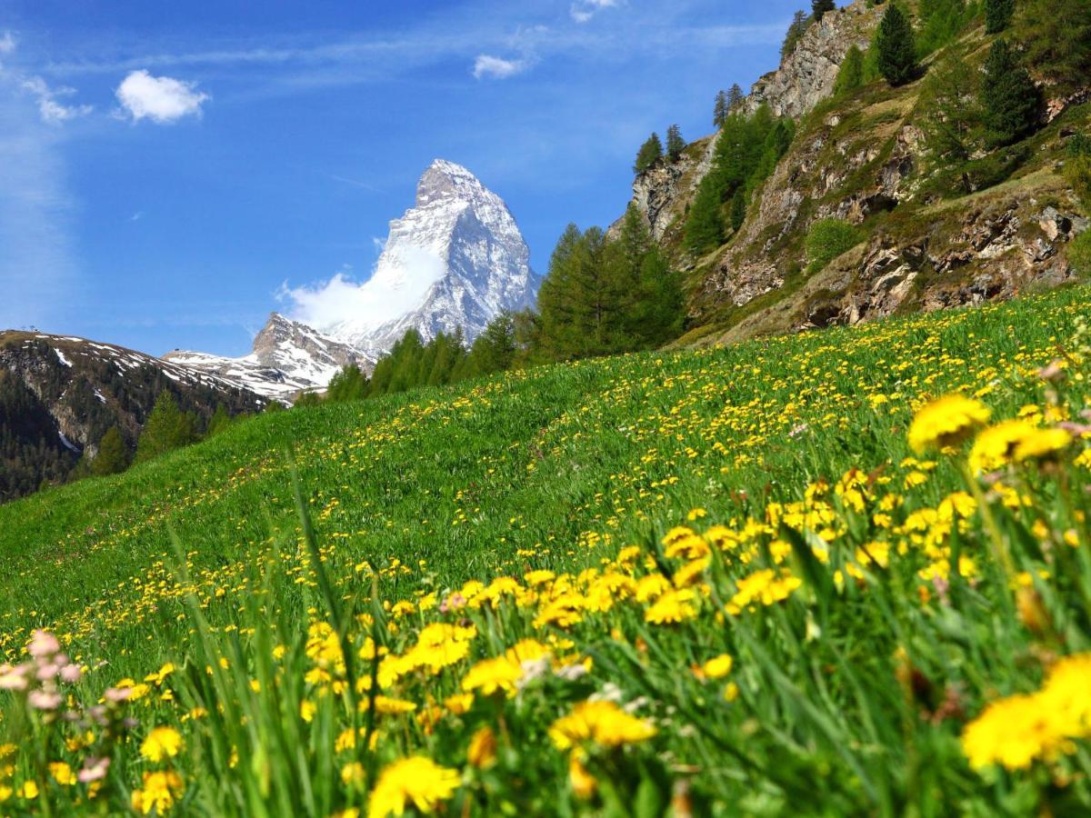 Apartment Breithorn Zermatt Exterior foto